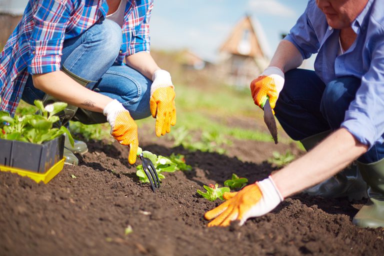 Tree Planting Moment