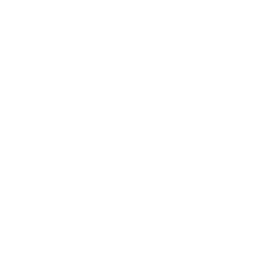 THEME SETTINGS