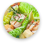 Napa Cabbage