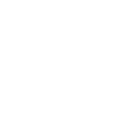 Beach Sunbed
