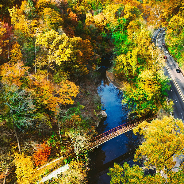 Forest River