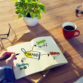 Design & Development