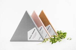 Trendy Portfolio Design Maxcom