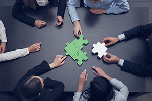 Working with expert Team