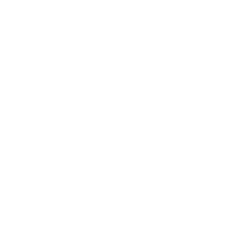 Business Plan