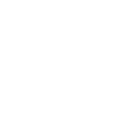 Groceries