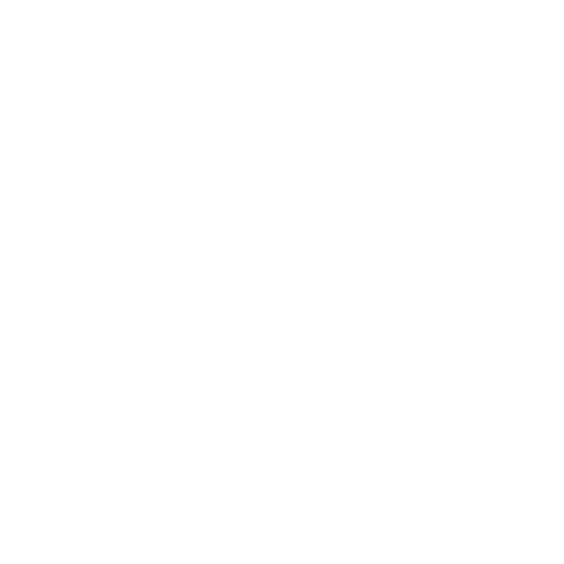Christmas Hat
